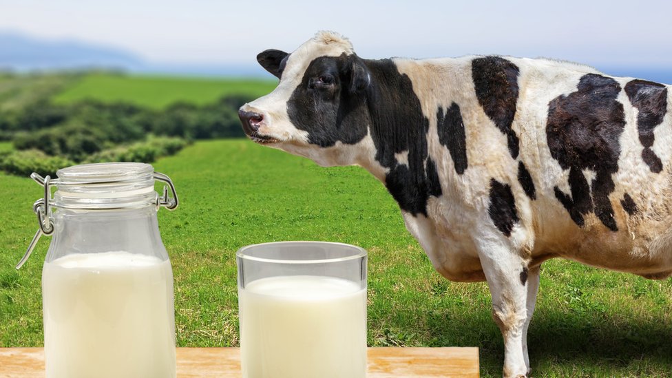 ALERGIAS POR LECHE DE VACA – SENSIBILIDAD AL FRIO – 28 -MAYO_22