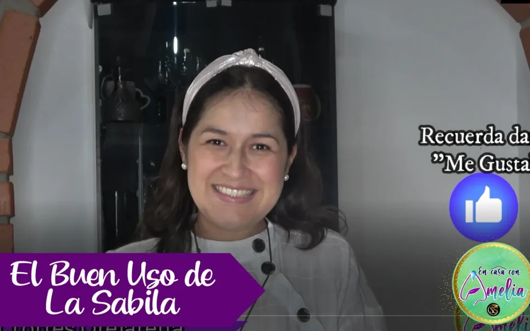 El buen uso de la Sábila