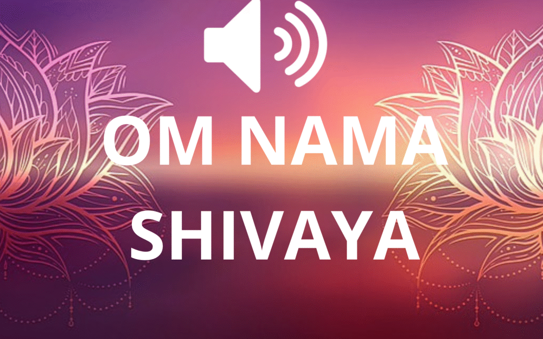 OM NAMA SHIVAYA