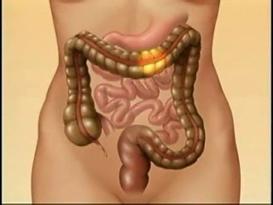 COLON ESTREÑIDO_ JUGO NATURAL – MASCARILLAS ANTIENVEJECIMIENTO PREMATURO – Luis Antonio Melón