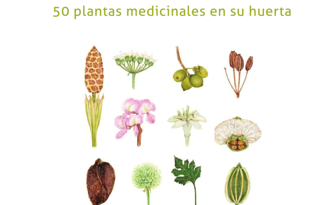 200 PLANTAS MEDICINALES PARA EL HUERTO EN TU HOGAR