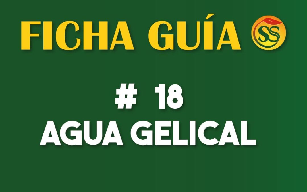 FICHA-GUÍA # 18 – Agua Gelical – Enero-2023