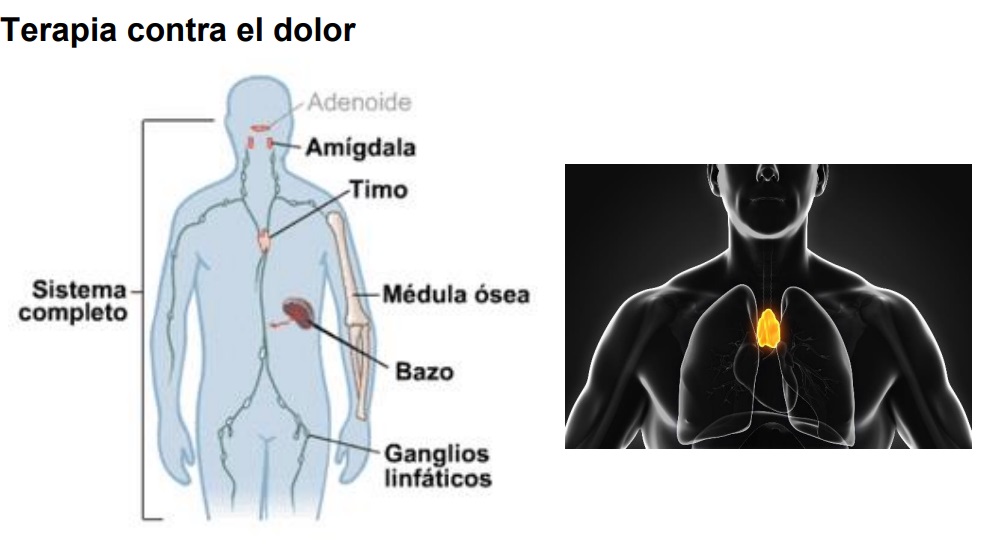 MEDICINA VOLÁTIL