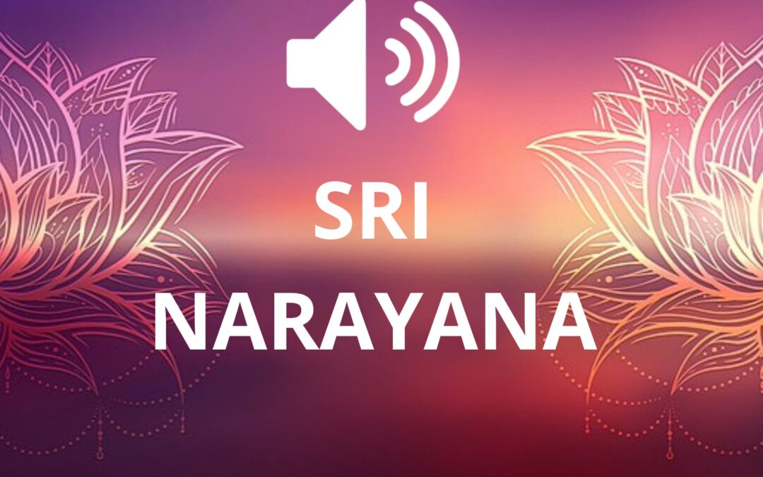 SRI NARAYANA