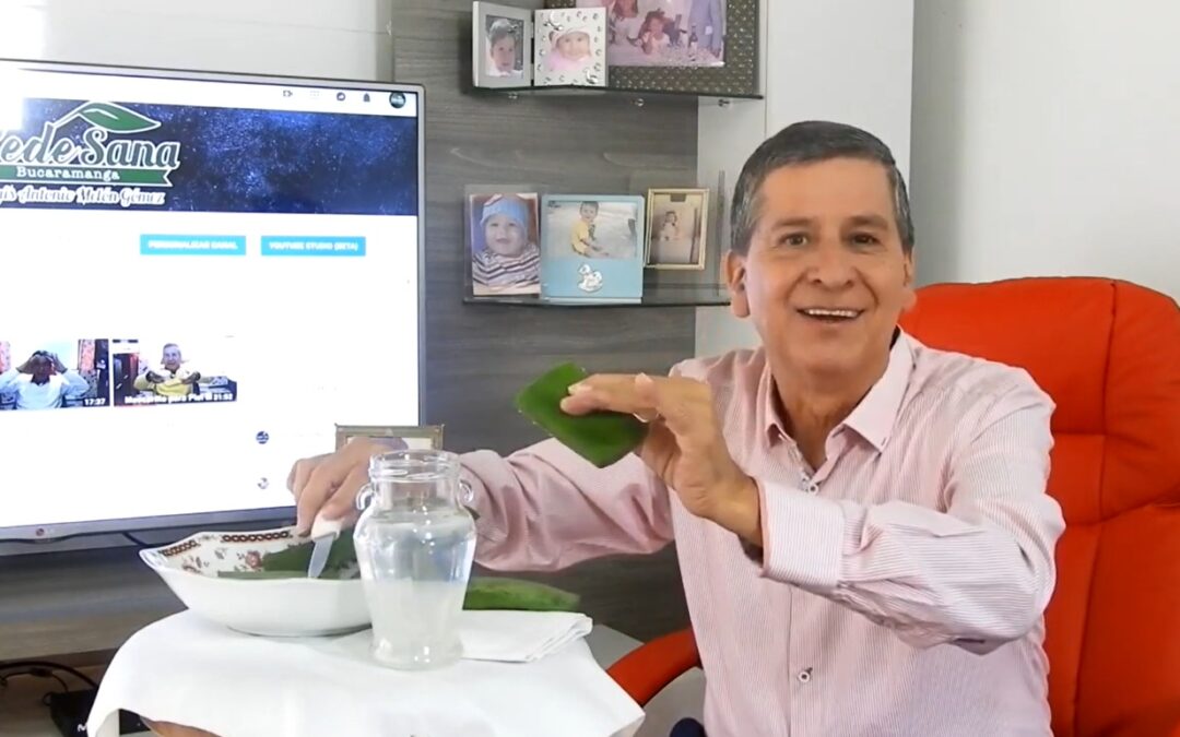 AGUA GELICAL – COMO CONSERVAR LA SABILA NO UTILIZADA – REMEDIOS NATURALES – ALIMENTACION SALUDABLE